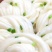 面粉