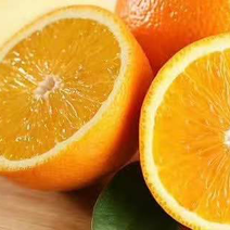 四川凉山精品雷波脐橙，产地现发品质，对接电商批发
