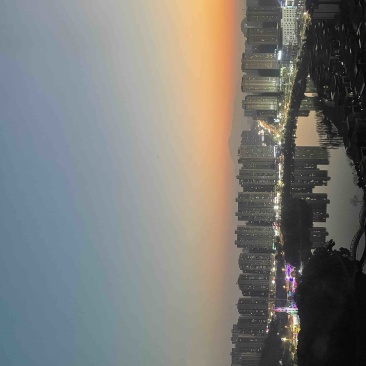 柿饼