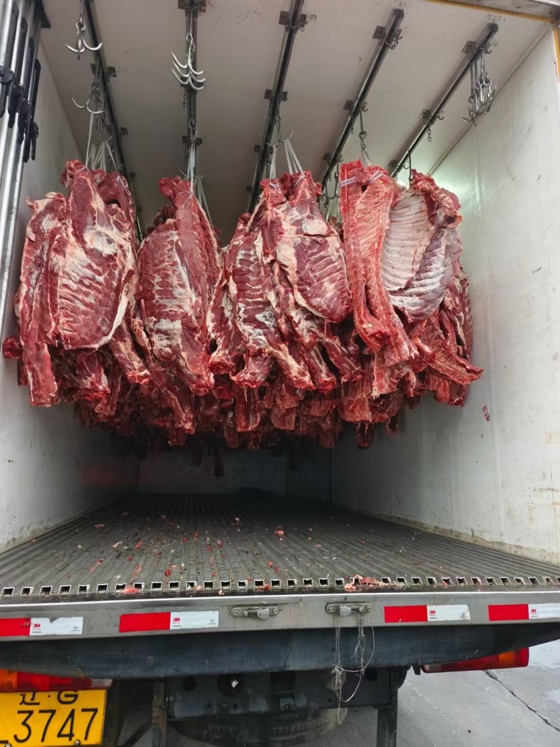 母猪通排排骨新货手续齐全厂家直发量大价优