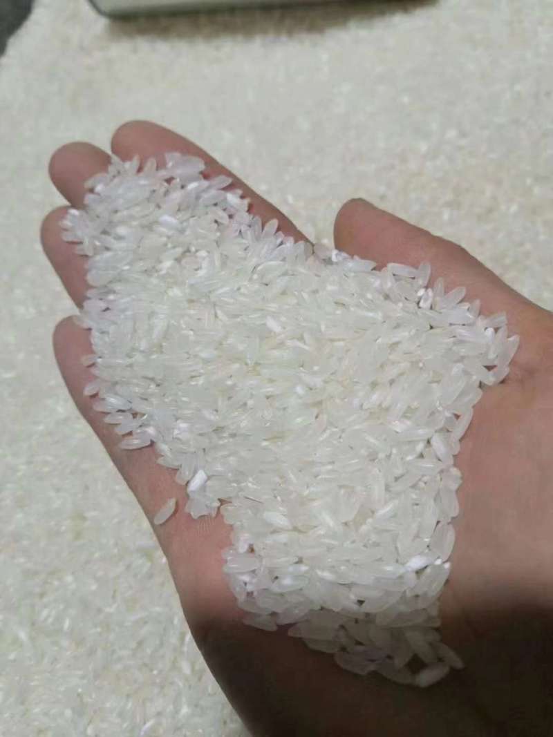 【品质保障】黑龙江五常稻花大米量大优惠对接批发商超