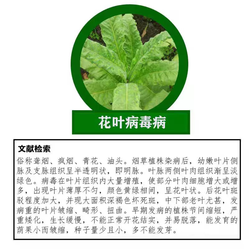 亮叶8%宁南霉素苹果斑点落叶病黑条矮缩病病毒病农药杀菌剂