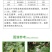 亮叶8%宁南霉素苹果斑点落叶病黑条矮缩病病毒病农药杀菌剂