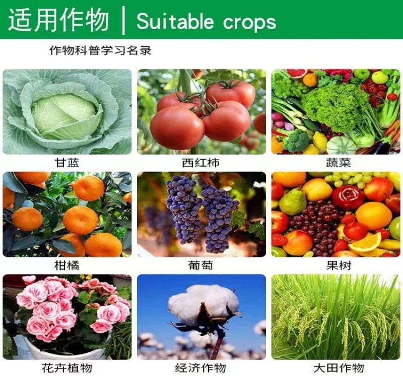 镖蓟5%甲维盐甲氨基阿维菌素苯甲酸盐抗性蓟马专用药杀虫剂