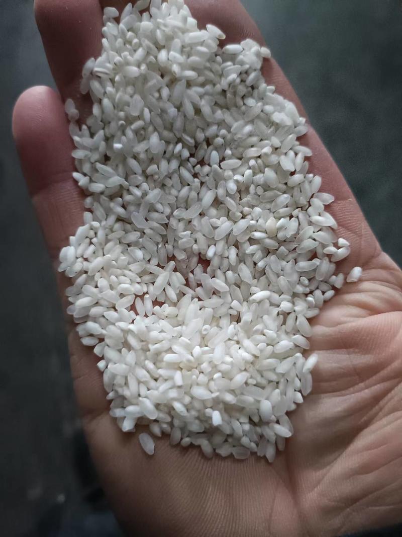 碎米五常稻花香2号精选抛光碎米，酒米、黑头米、白米