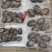 泓振鲍源鲍鱼冻鲍鱼真空包装250克电商社区款6-15头