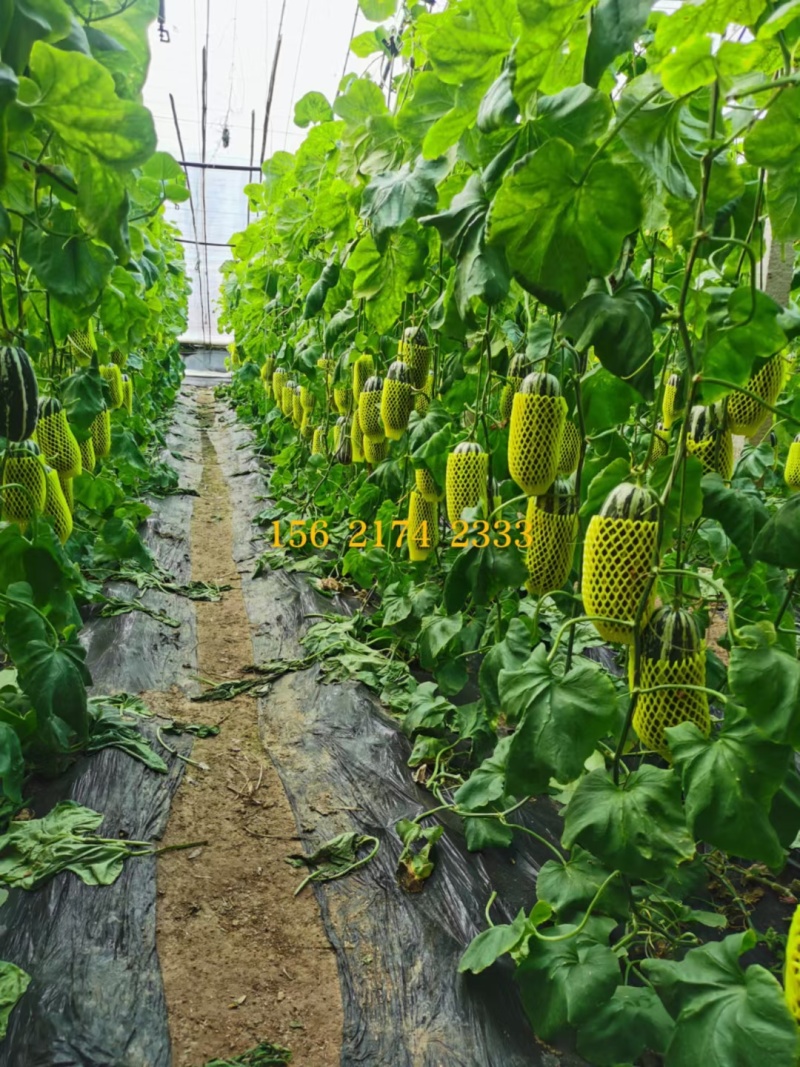 寿光博洋9博洋91大量供应大量现货供应质量保证