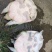 生态甲鱼山沟水养殖，甲鱼自己觅食，3年以上，体重2斤起步