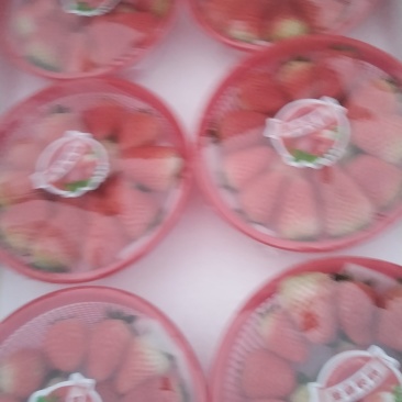 天仙醉优质草莓