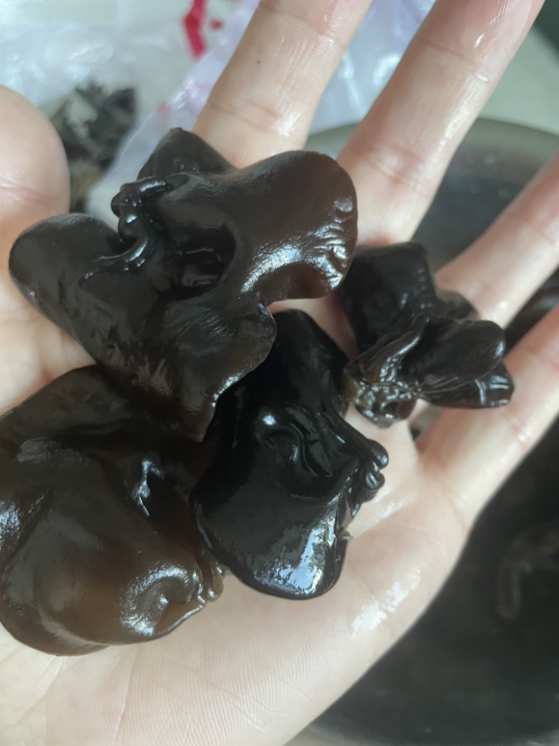 长白山黑木耳肉厚口感甜糯脆泡发率高，快