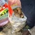 荷兰十五土豆种子，荷兰七土豆种子，荷兰806土豆种子