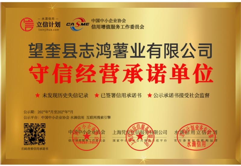 荷兰十五土豆种子，荷兰七土豆种子，荷兰806土豆种子
