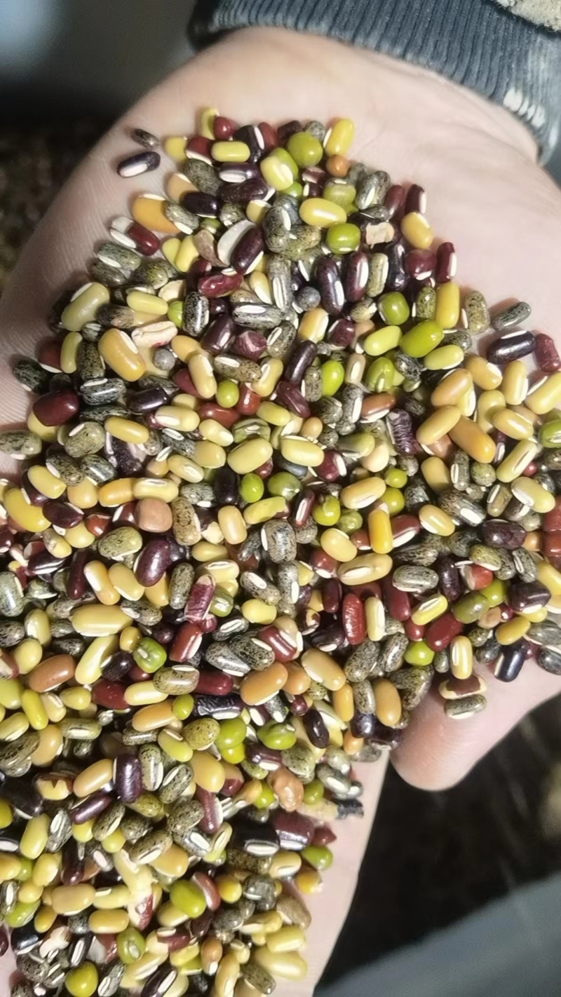 食品杂竹豆杂芸豆瓣