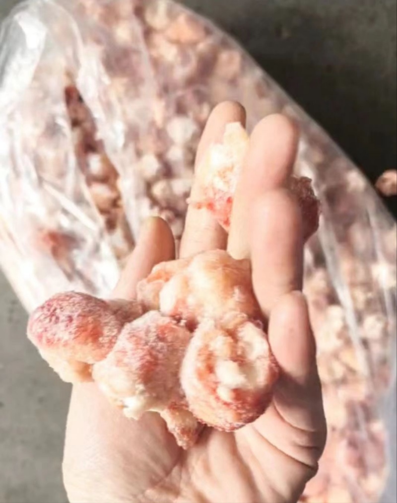 鸡拐骨干货50-60个全规格