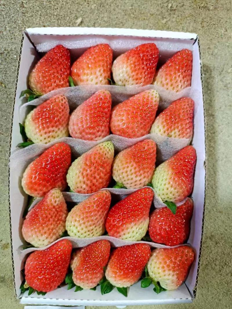 云南夏季草莓烘培茶饮商用各种规格专业打包