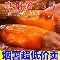 【流心蜜薯】正宗烟薯25烤薯店专用蜜薯已糖化糖度高