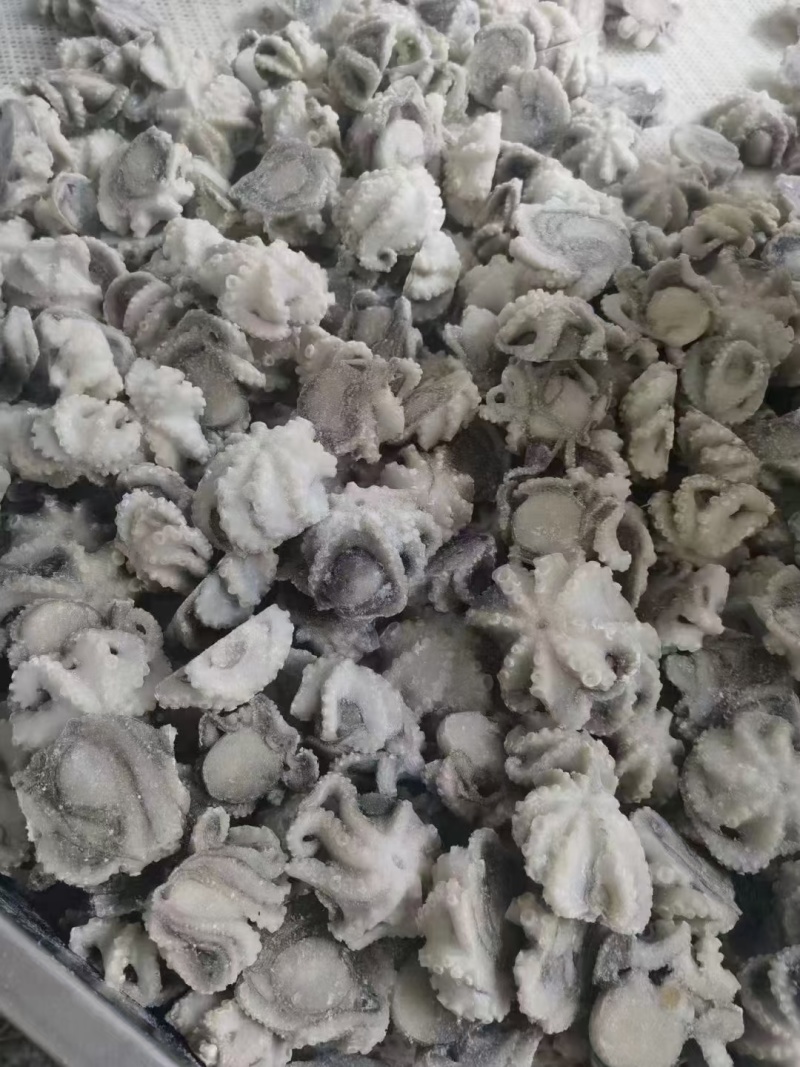 海鲜八爪鱼海鲜小章鱼海鲜鲜活八爪鱼章鱼爆头火锅食材新鲜