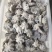 海鲜八爪鱼海鲜小章鱼海鲜鲜活八爪鱼章鱼爆头火锅食材新鲜