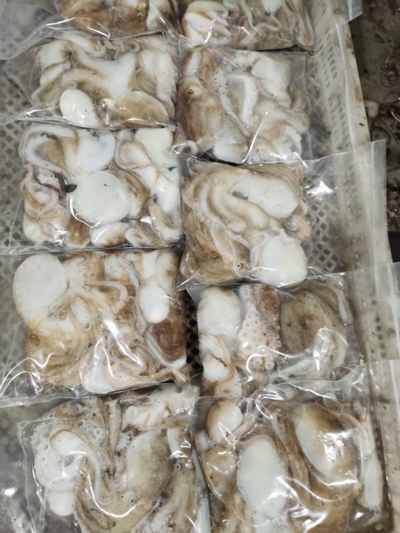 海鲜八爪鱼海鲜小章鱼海鲜鲜活八爪鱼章鱼爆头火锅食材新鲜