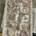 海鲜八爪鱼海鲜小章鱼海鲜鲜活八爪鱼章鱼爆头火锅食材新鲜