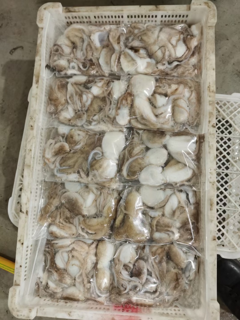 海鲜八爪鱼海鲜小章鱼海鲜鲜活八爪鱼章鱼爆头火锅食材新鲜
