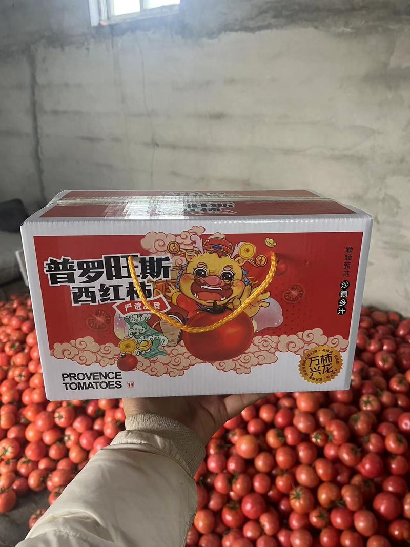 海阳普罗旺斯西红柿落地配社区团购礼盒箱产地直供质优价廉