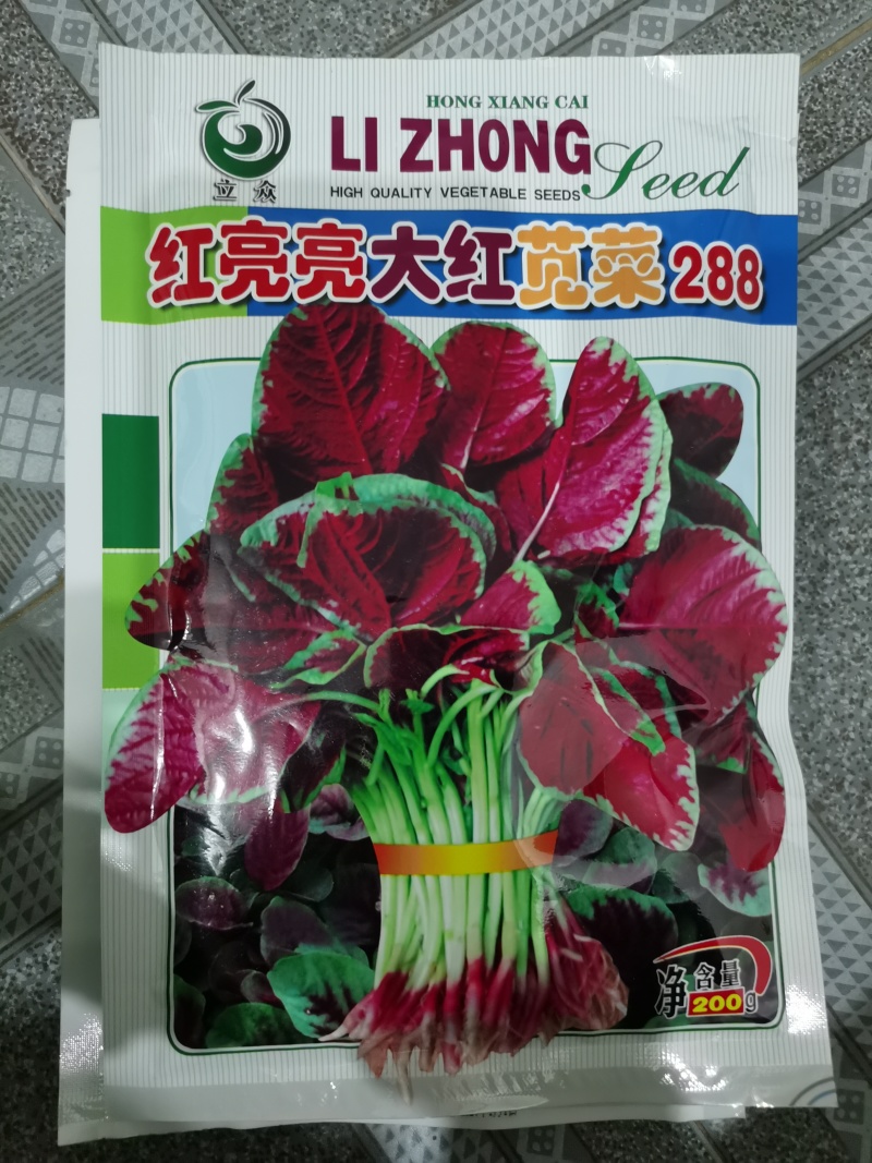 大红苋菜种子
