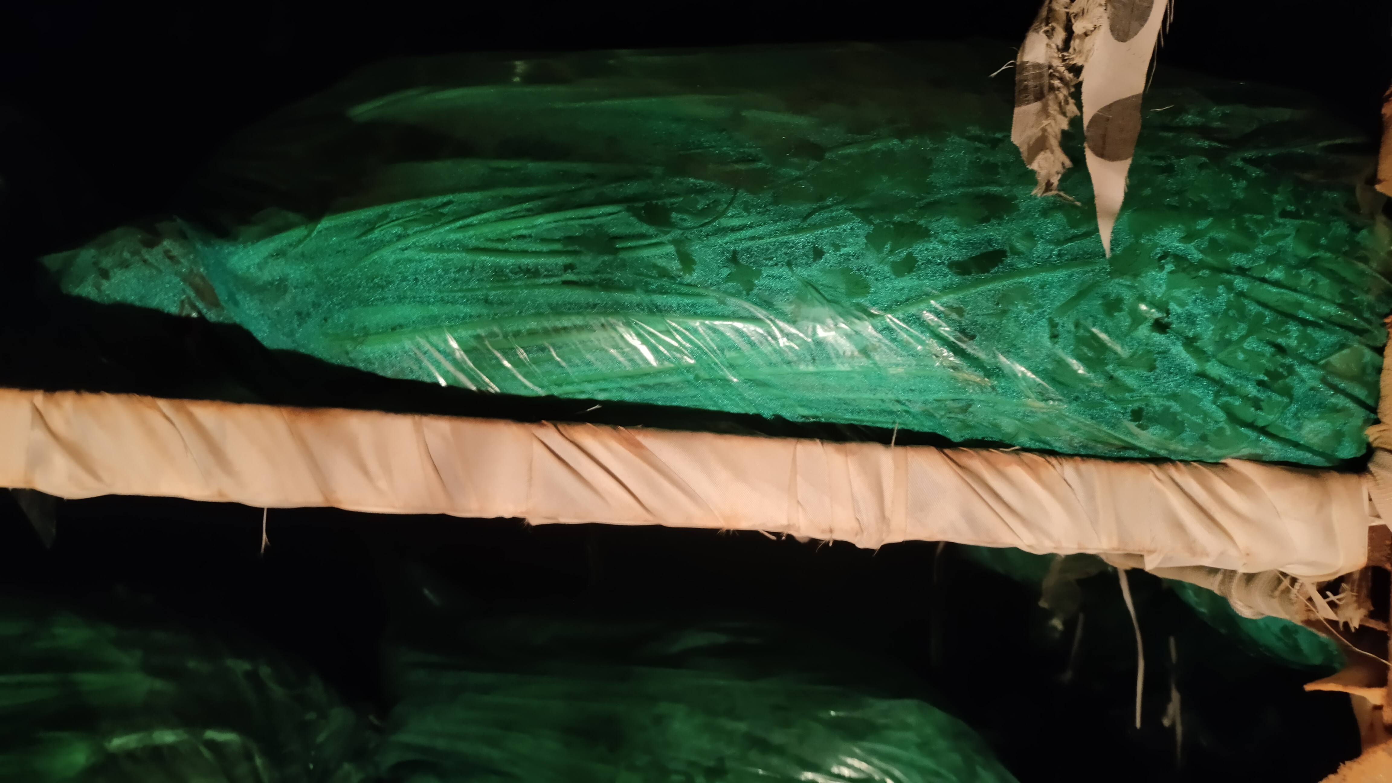 香菜保存方式示意图