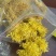 金丝皇菊