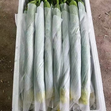 鲜花丝瓜包装膜，丝瓜保鲜膜，丝瓜泡沫垫