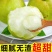 正宗山西运城玉露香梨皮薄少渣欢迎各商超电商对接代收代发