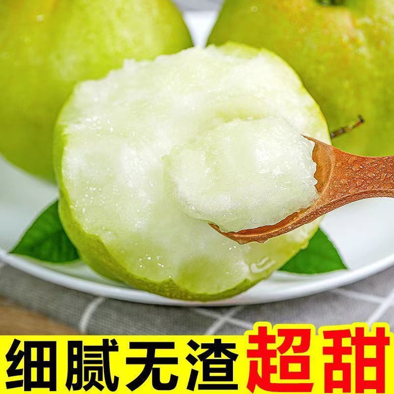 正宗山西运城玉露香梨皮薄少渣欢迎各商超电商对接代收代发