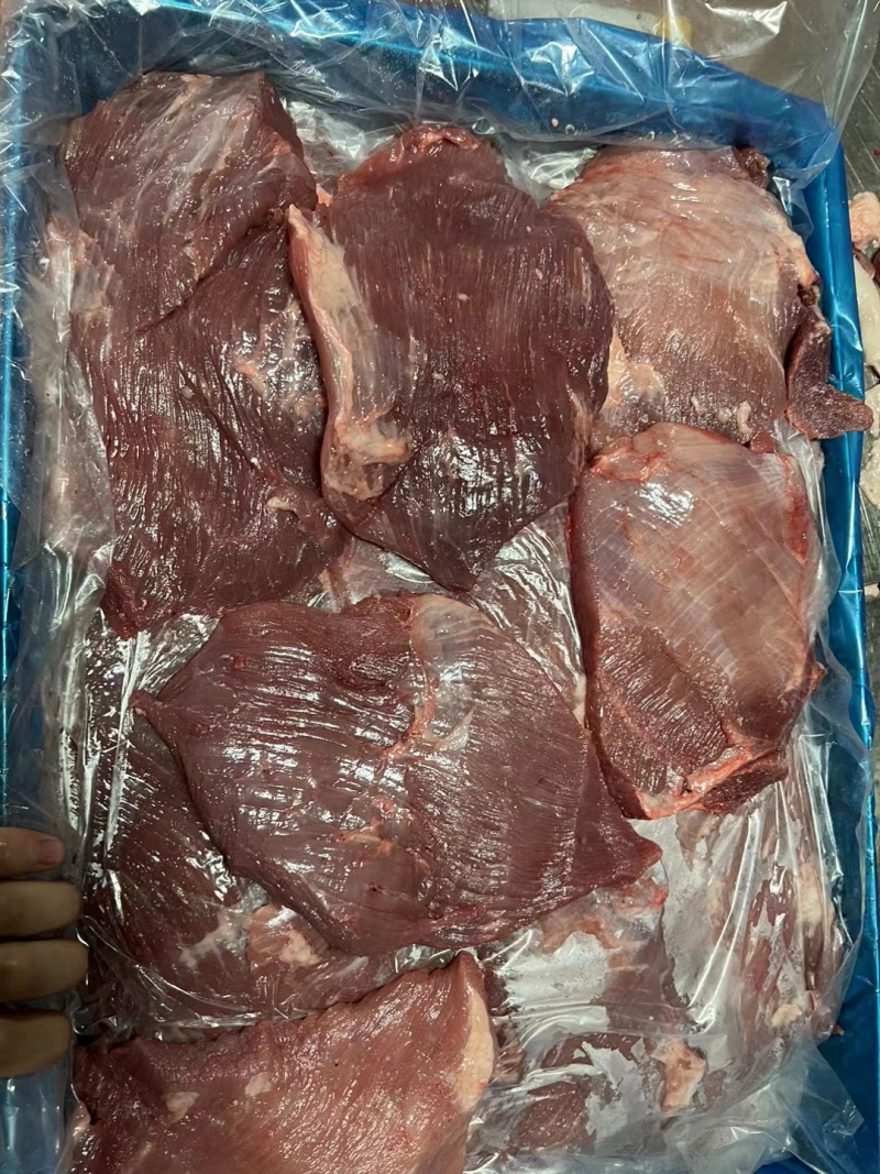 纯干精修母猪胸片新货手续齐全厂家直发量大价优