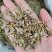 .铁皮石斛片干货500克铁皮石斛片泡茶煮汤干片批发