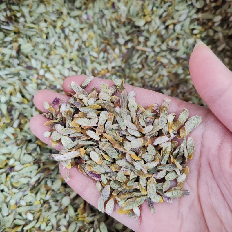 .铁皮石斛片干货500克铁皮石斛片泡茶煮汤干片批发