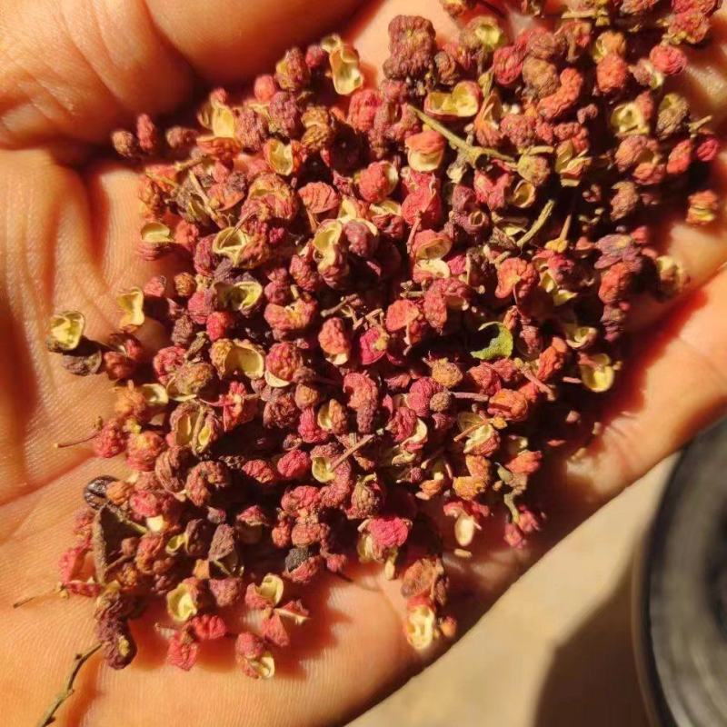 【渭南大红袍花椒】颗粒饱满麻香味十足自然晾晒原汁原味无染色