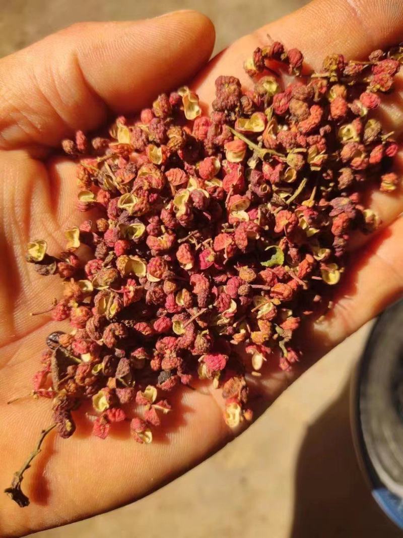 【渭南大红袍花椒】颗粒饱满麻香味十足自然晾晒原汁原味无染色