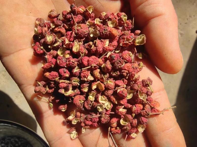 【渭南大红袍花椒】颗粒饱满麻香味十足自然晾晒原汁原味无染色