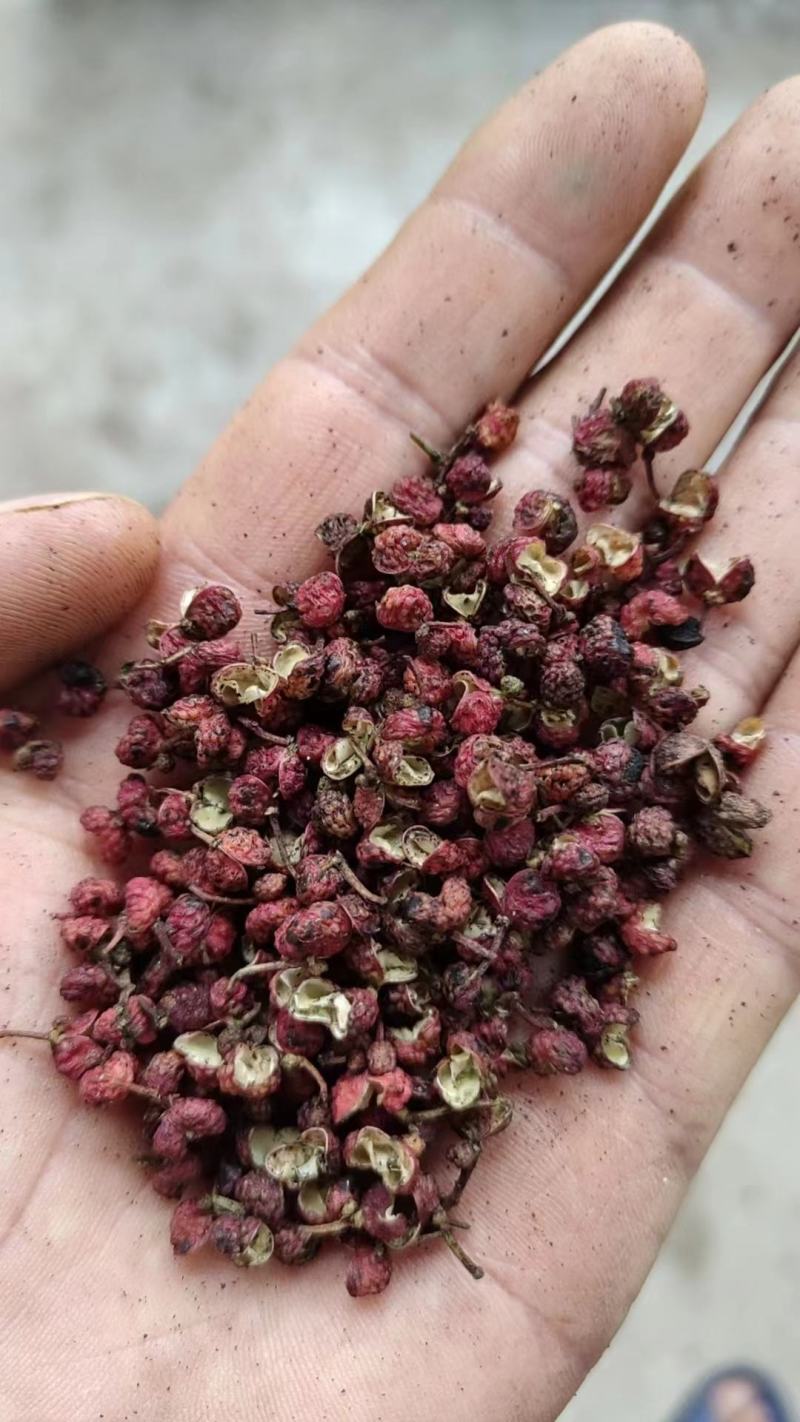 【渭南大红袍花椒】颗粒饱满麻香味十足自然晾晒原汁原味无染色