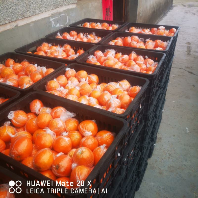 麻阳正宗纽荷尔高山脐橙，果面漂亮，无沙皮，口感甜