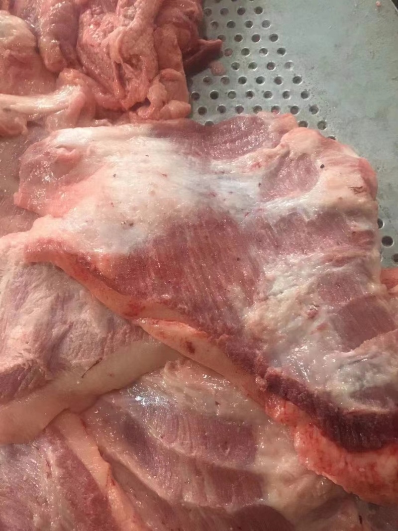 母猪精修去皮槽头新货手续齐全厂家直发量大价优