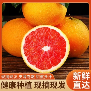 四川血橙现摘现发品质保障皮薄肉大甜蜜多汁欢迎咨询