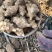 洋姜河南一手货源，视频看货，供超市，电商，工厂。量大从优