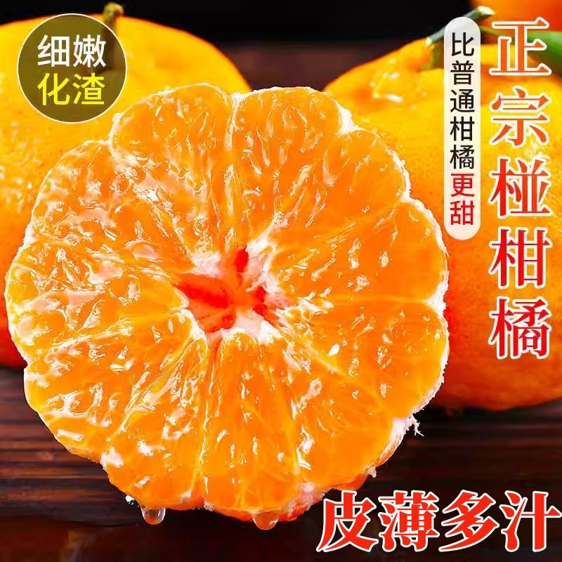 四川椪柑现大量上市量大从优品质高价格美可看货