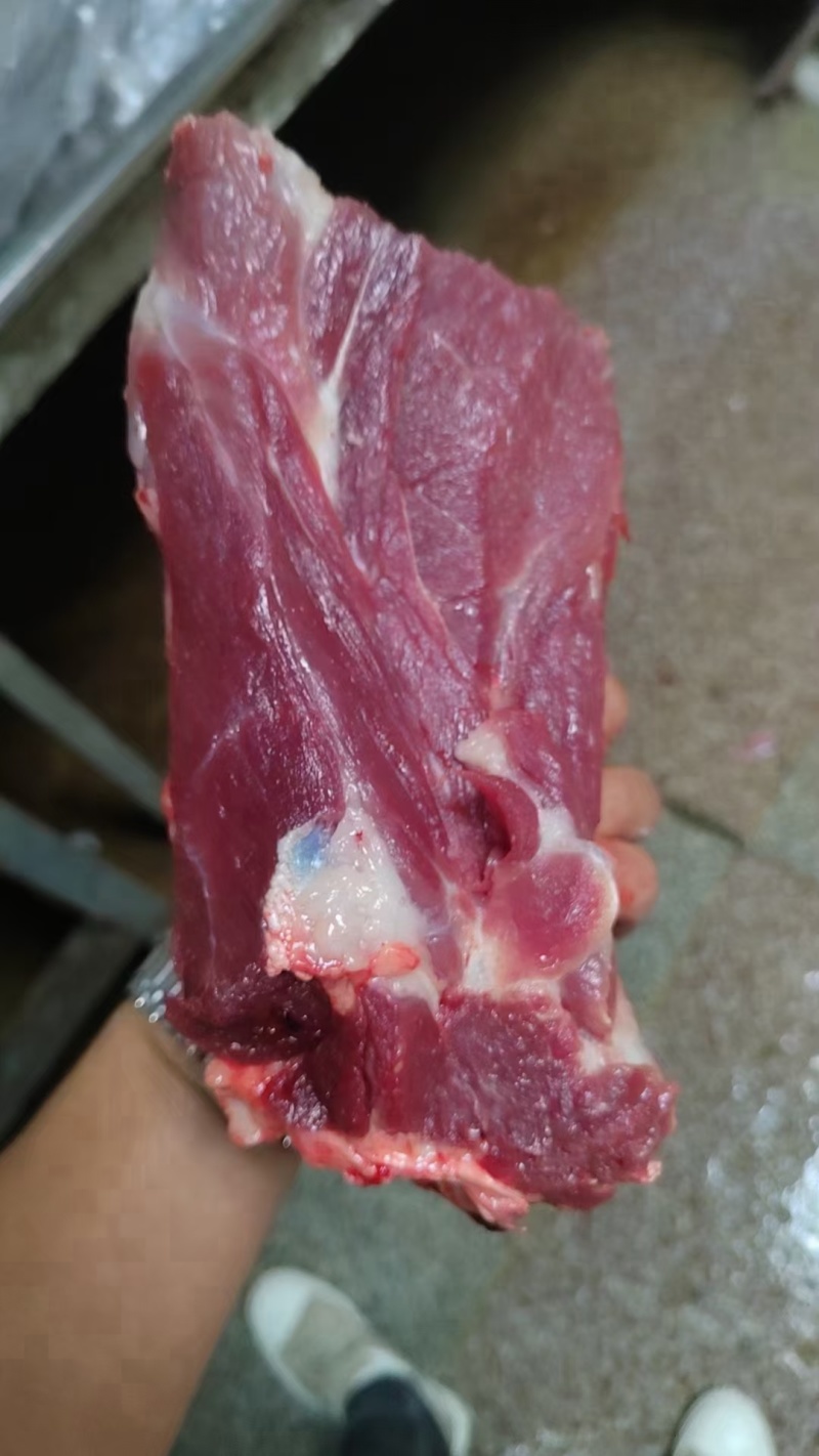 母猪颈骨新货手续齐全厂家直发量大价优