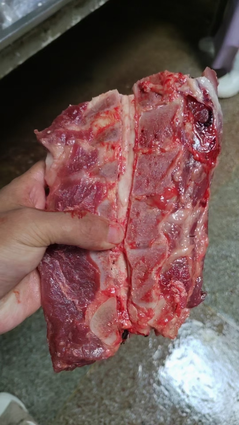 母猪颈骨新货手续齐全厂家直发量大价优