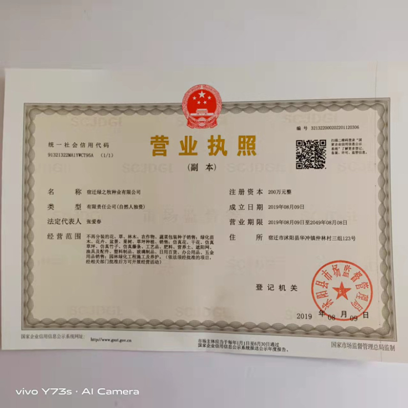 川地特7号莴笋种子红叶尖叶品种种子
