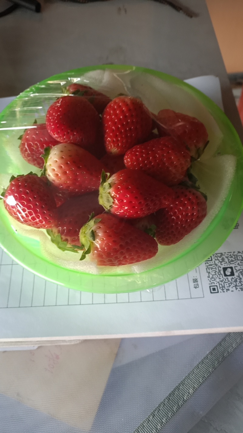 **代办天仙醉贵妃草莓量大货优规格及包装齐全