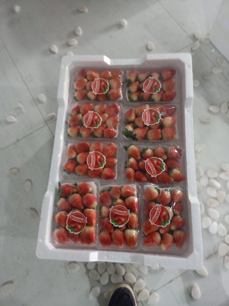 **代办天仙醉贵妃草莓量大货优规格及包装齐全