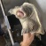 珍珠鳖种公2-6斤交配公公鳖1.7-2.2千斤望全清公